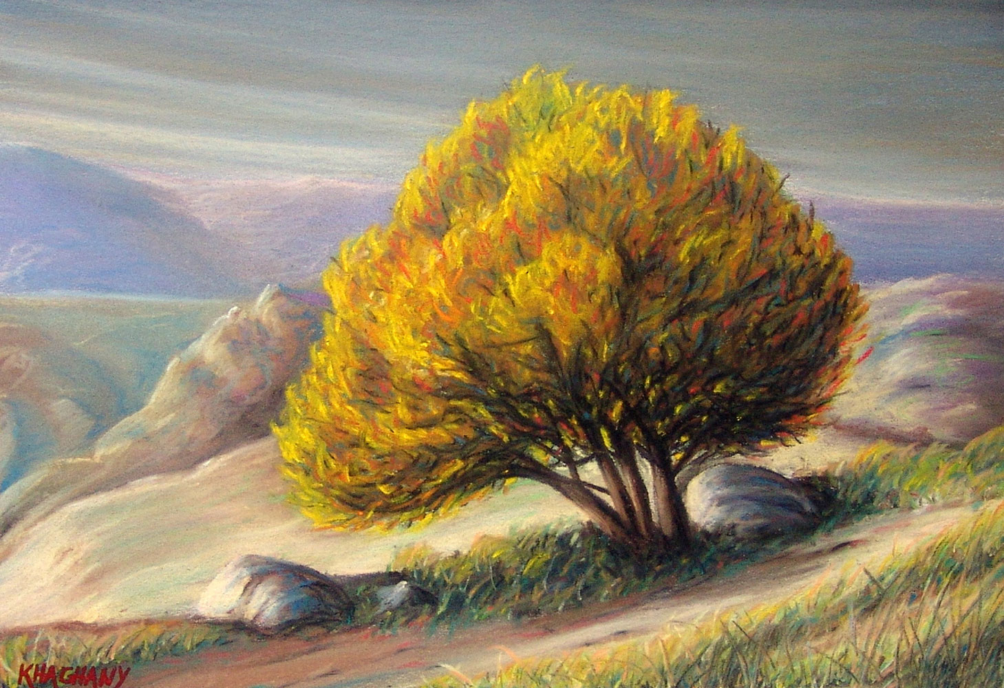 placeholder image-sq