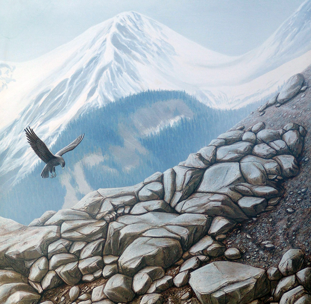 placeholder image-sq