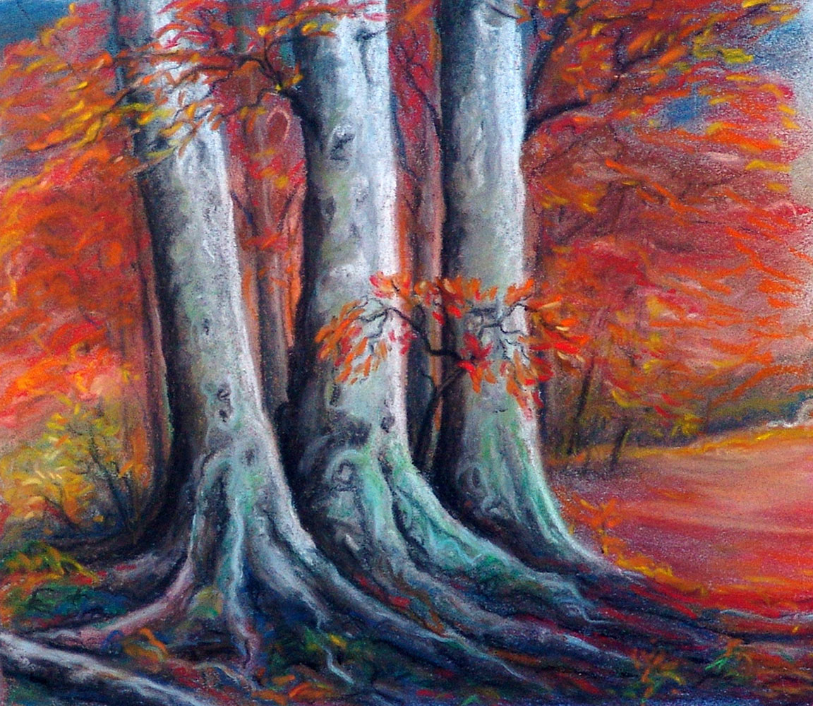 placeholder image-sq