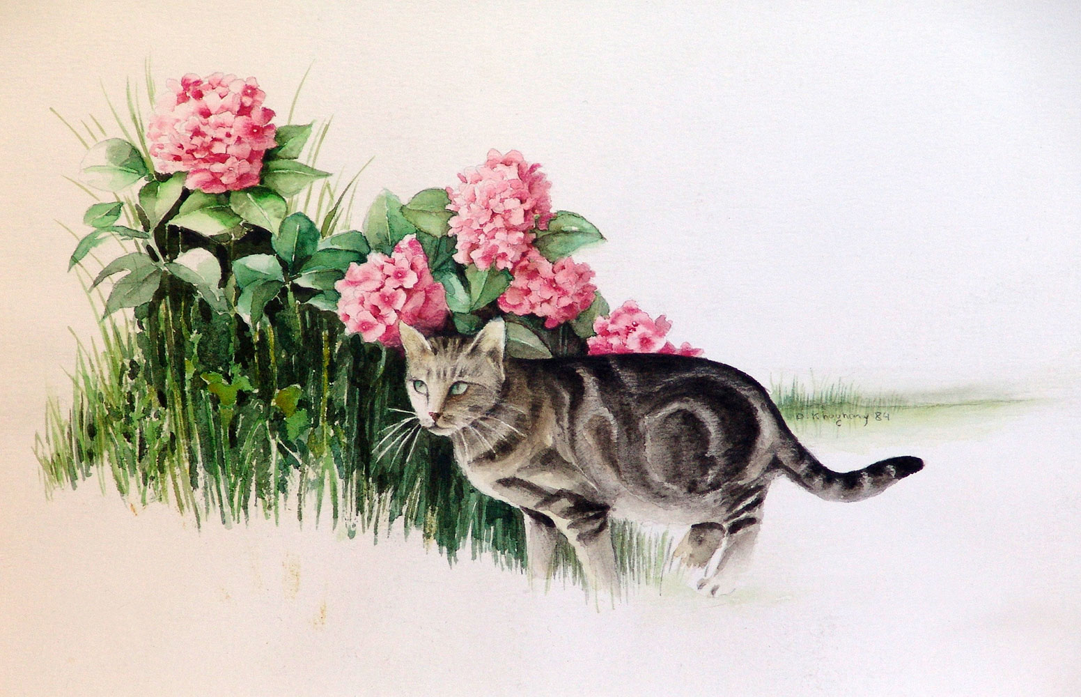 placeholder image-sq