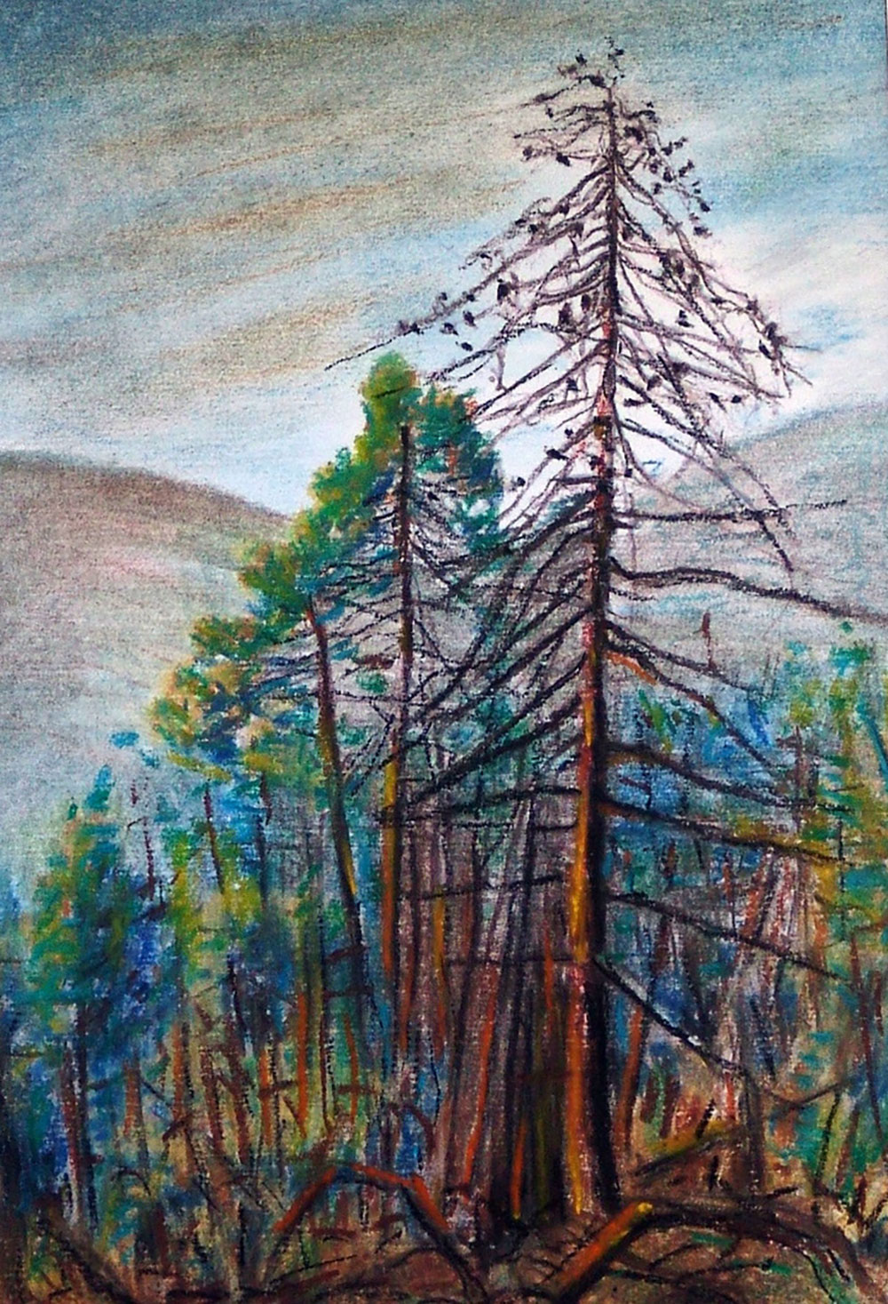 placeholder image-sq