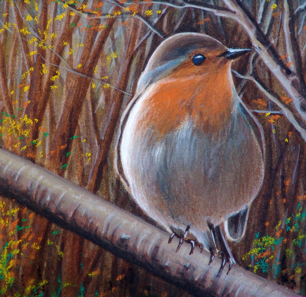 placeholder image-sq