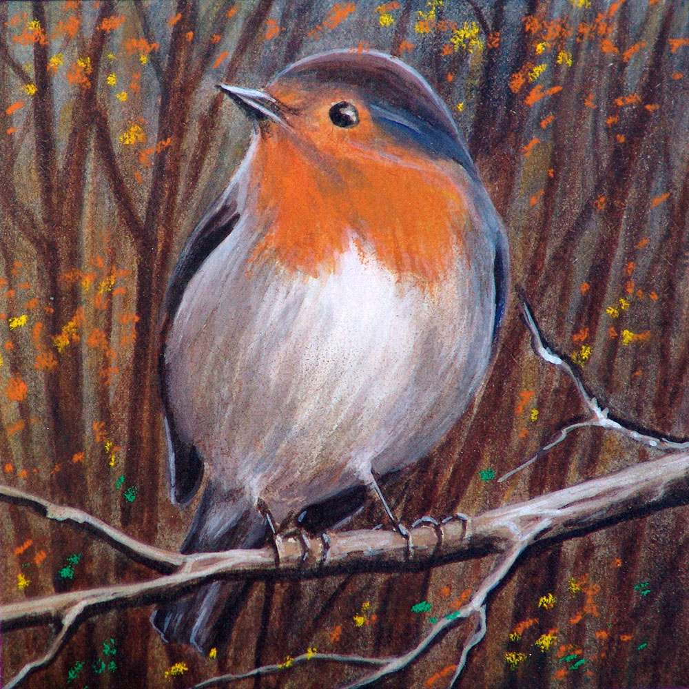 placeholder image-sq