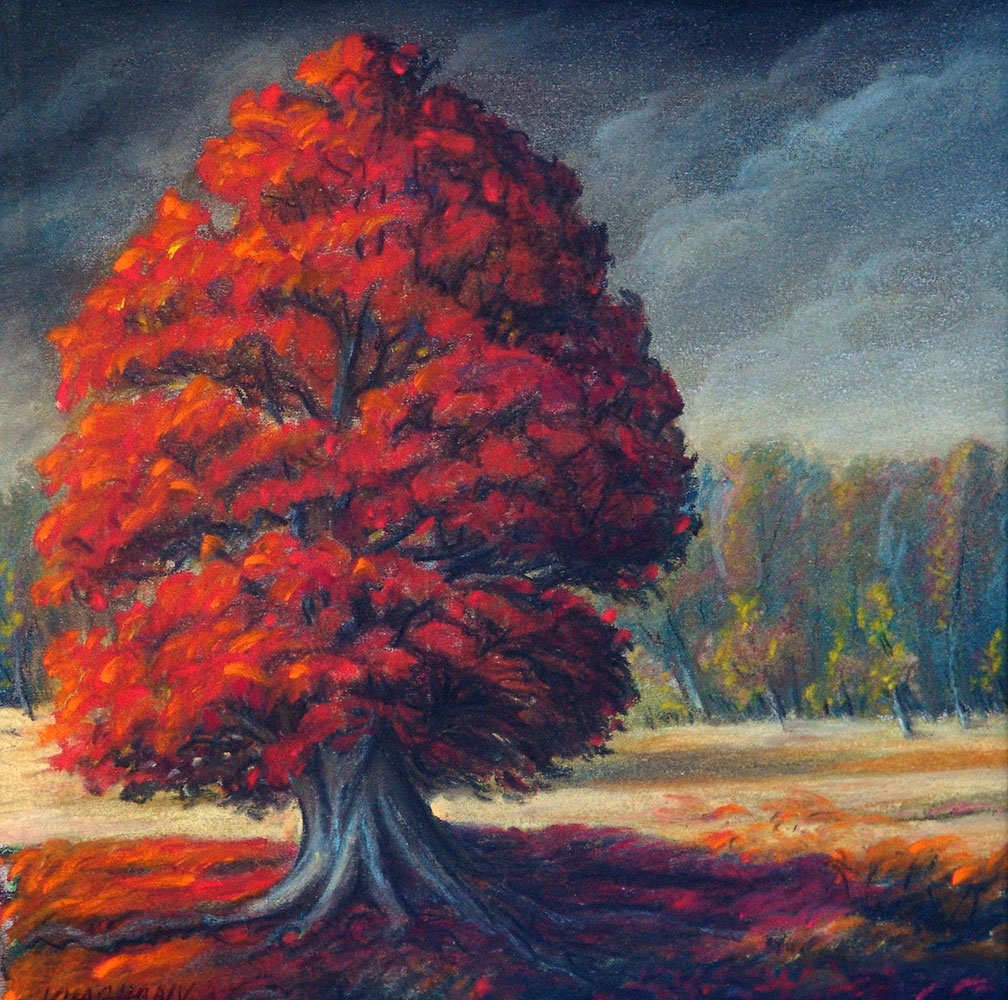 placeholder image-sq