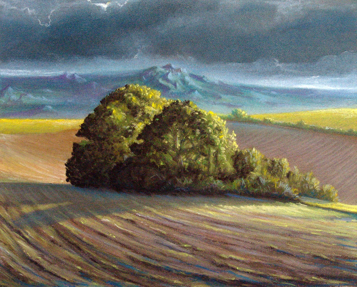 placeholder image-sq