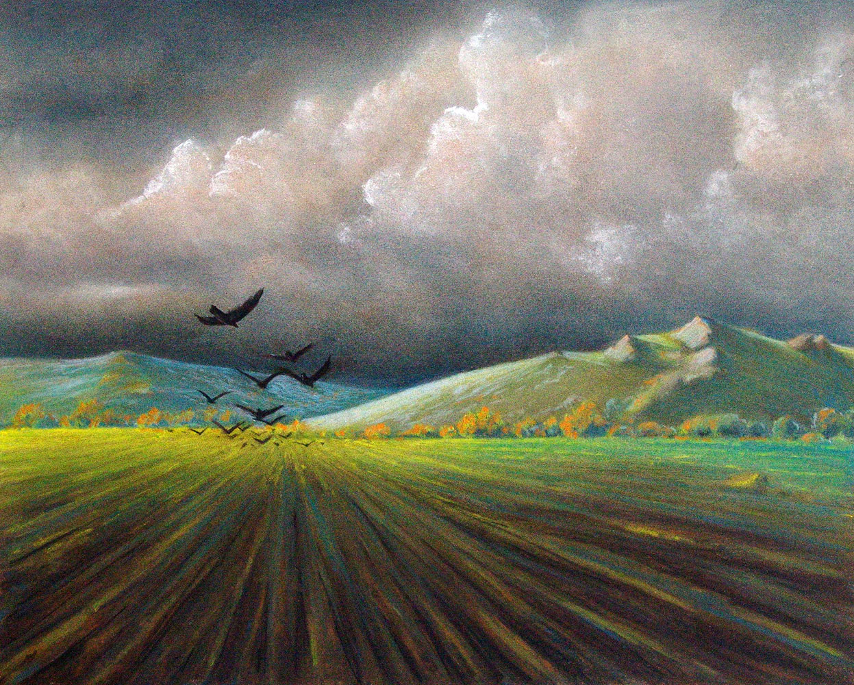 placeholder image-sq