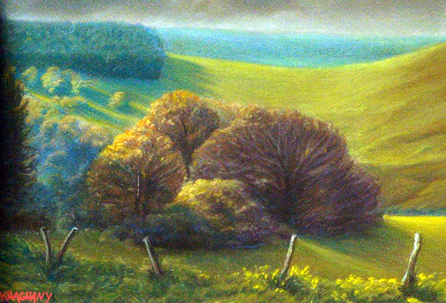 placeholder image-sq