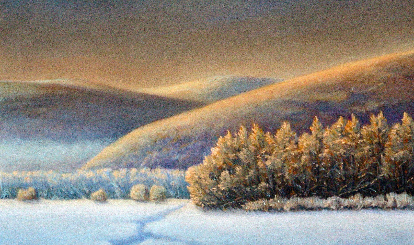 placeholder image-sq