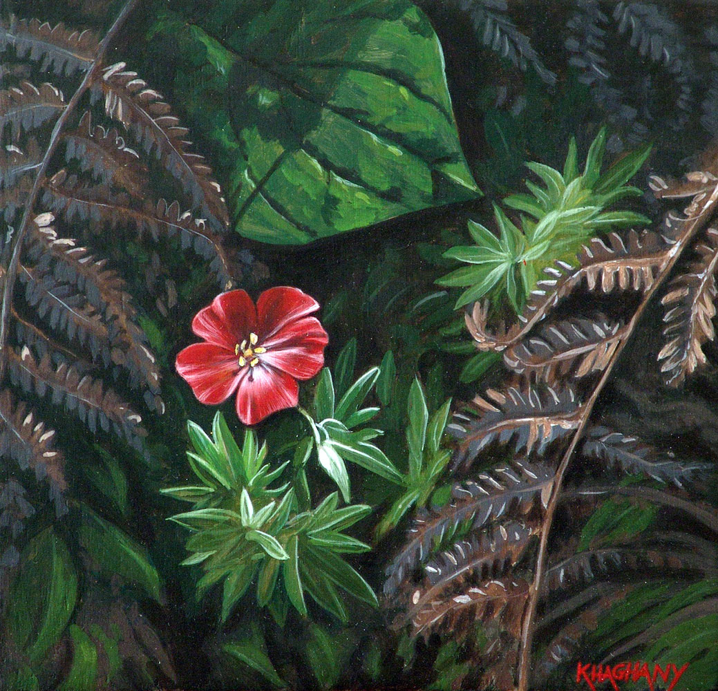 placeholder image-sq